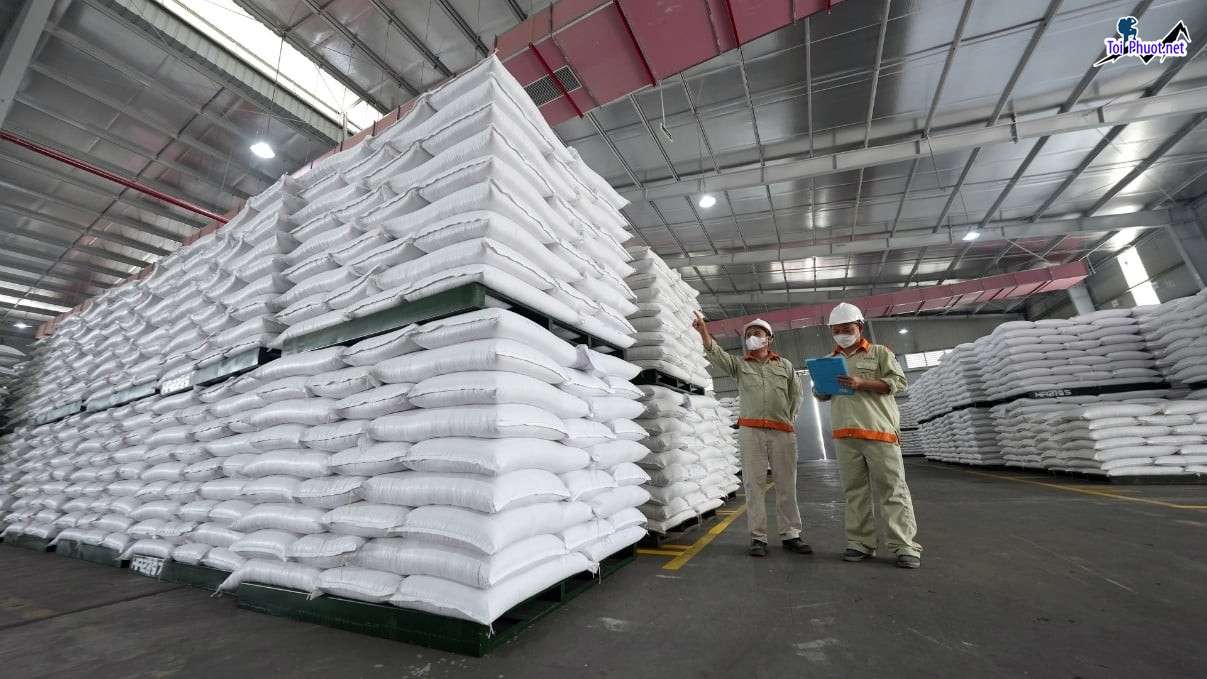Top 10 bán thức ăn gia súc gia cầm Bắc Kạn được nhiều hộ tin dùng (2)