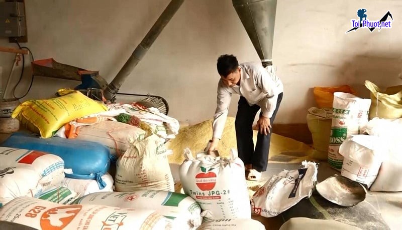 Top 10 bán thức ăn gia súc gia cầm Biên Hòa Đồng Nai cho nhu cầu chăn nuôi của bạn (2)