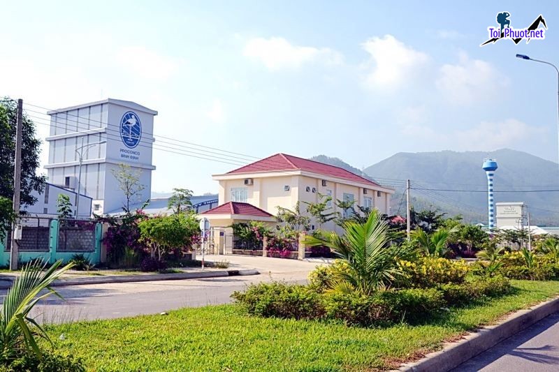 Top 10 bán thức ăn gia súc gia cầm Cà Mau đáp ứng mọi nhu cầu của thị trường (1)