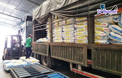 Top 10 bán thức ăn gia súc gia cầm Hà Nội chất lượng cực tốt