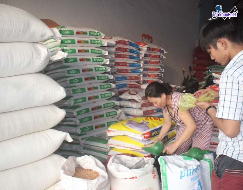 Top 10 bán thức ăn gia súc gia cầm Vĩnh Long Niềm tin từ chất lượng (2)