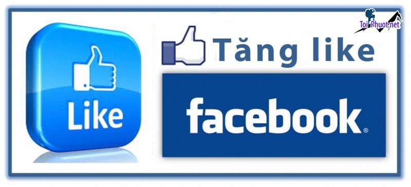 Top 11 dịch vụ tăng like giá rẻ chất Cần Thơ uy tín nhất hiện nay (1)