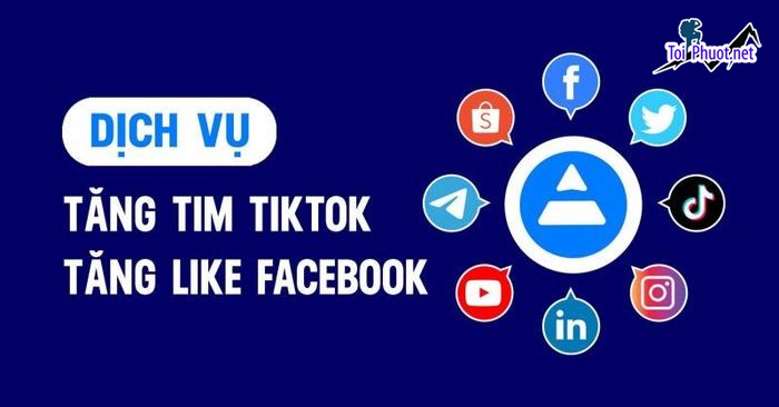 Top 11 dịch vụ tăng like giá rẻ chất Cần Thơ uy tín nhất hiện nay (2)