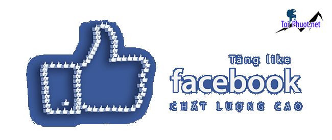 Top 11 dịch vụ tăng like giá rẻ chất Cần Thơ uy tín nhất hiện nay (2)