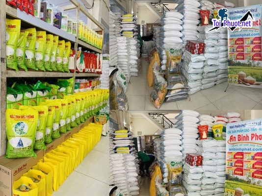 Top 2 cửa hàng gạo gần đây chất lượng Kon Tum giá tốt nhất (1)