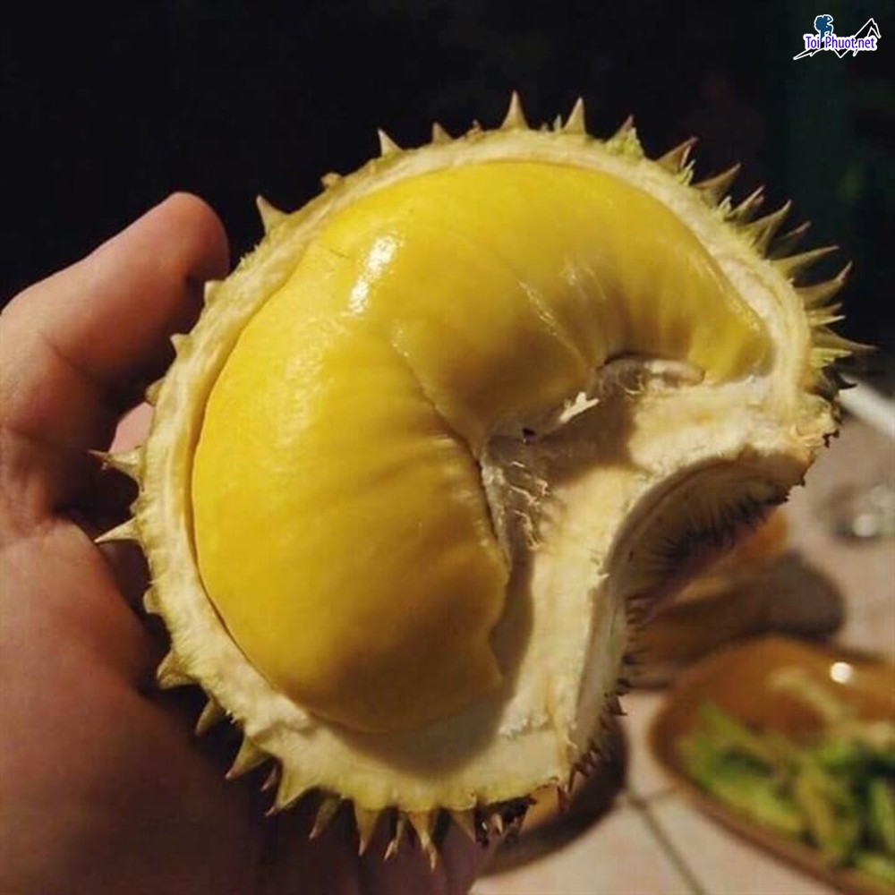 Top 2 cung cấp bán sầu riêng giá rẻ tốt chất lượng Buôn Ma Thuột Đắk Lắk uy tín (3)
