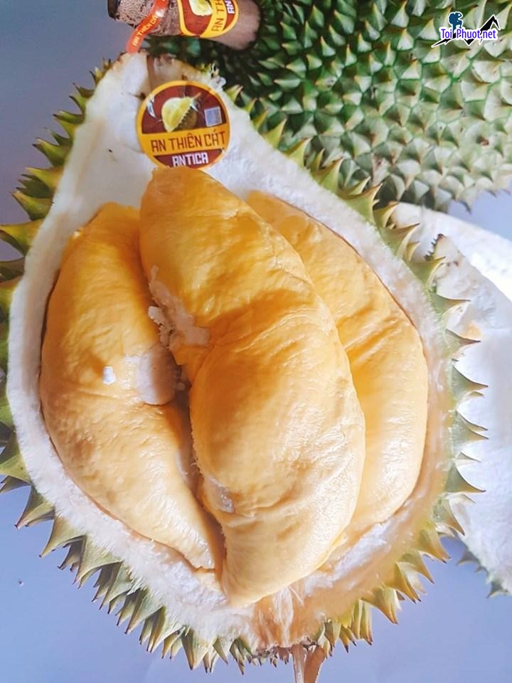 Top 2 cung cấp bán sầu riêng giá rẻ tốt chất lượng Hạ Long Quảng Ninh mùi cực thơm (1)