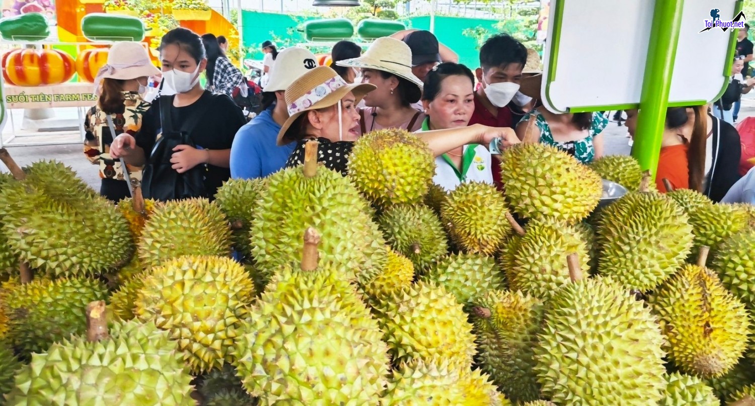 Top 2 cung cấp bán sầu riêng giá rẻ tốt chất lượng Vĩnh Yên Vĩnh Phúc cực ngon (4)