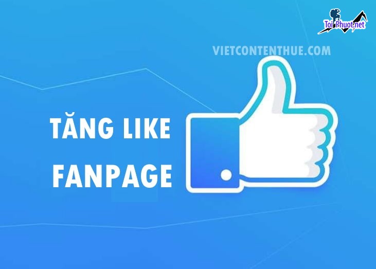 Top 2 dịch vụ tăng like giá rẻ chất Bắc Giang giúp tài khoản nổi bật hơn (1)