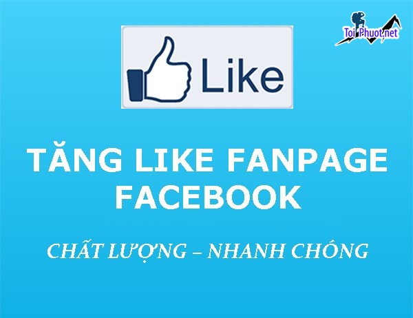 Top 2 dịch vụ tăng like giá rẻ chất Đà Nẵng hỗ trợ nhanh chóng (2)