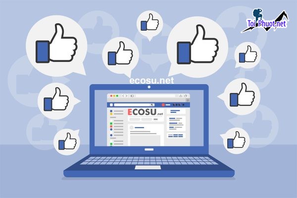 Top 2 dịch vụ tăng like giá rẻ chất Quy Nhơn Bình Định giúp tăng tương tác cao (1)