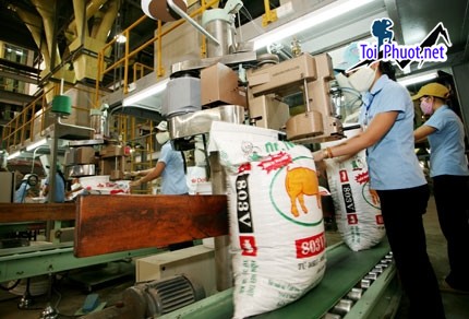 Top 3 bán thức ăn gia súc gia cầm Bắc Ninh nổi tiếng và phổ biến nhất (3)