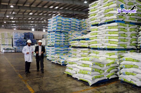 Top 3 bán thức ăn gia súc gia cầm Phan Thiết Bình Thuận mang đến chất lượng tốt nhất (2)