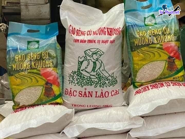 Top 3 cửa hàng gạo gần đây chất lượng Ninh Bình tư vấn tốt nhất (3)