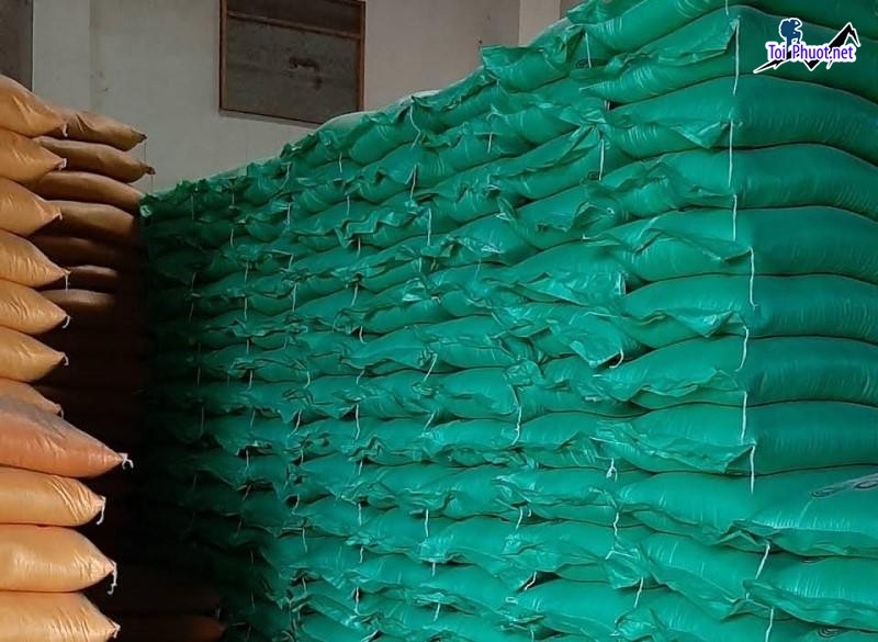 Top 3 cửa hàng gạo gần đây chất lượng Sóc Trăng an toàn cho sức khỏe (1)