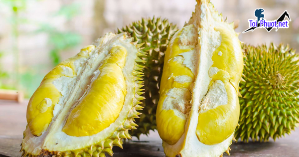 Top 3 cung cấp bán sầu riêng giá rẻ tốt chất lượng Thanh Hóa nhiều ưu đãi