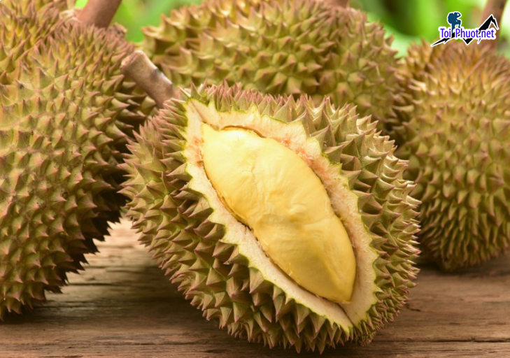 Top 3 cung cấp bán sầu riêng giá rẻ tốt chất lượng Thủ Dầu Một Bình Dương hàng tốt (1)