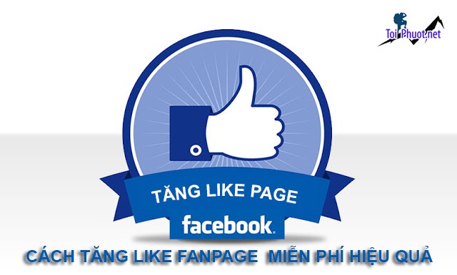 Top 3 dịch vụ tăng like giá rẻ chất Hải Phòng được tư vấn miễn phí (1)