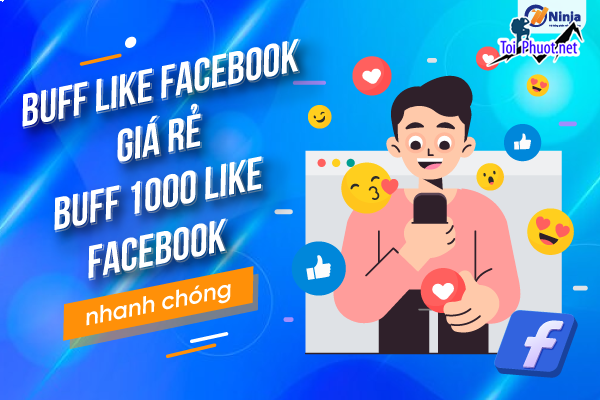Top 3 dịch vụ tăng like giá rẻ chất Hải Phòng được tư vấn miễn phí (1)