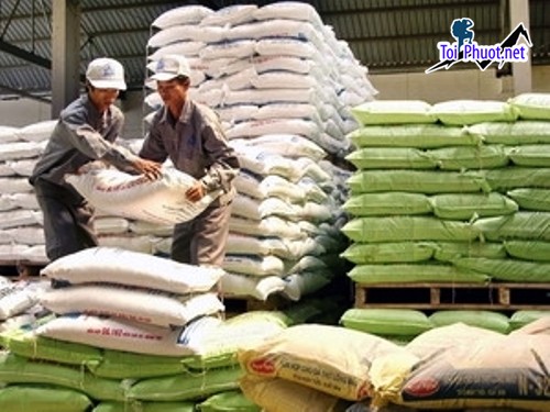 Top 4 bán thức ăn gia súc gia cầm Bắc Giang đa dạng các loại khác nhau