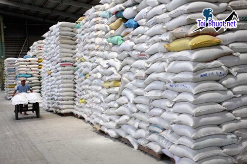 Top 4 bán thức ăn gia súc gia cầm Buôn Ma Thuột Đắk Lắk được bà con tin tưởng