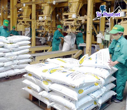 Top 4 bán thức ăn gia súc gia cầm Hải Dương đảm bảo chất lượng dịch vụ tốt nhất