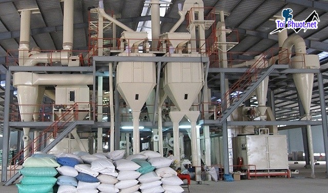 Top 4 bán thức ăn gia súc gia cầm Hòa Bình hỗ trợ bà con chăn nuôi hiệu quả (3)