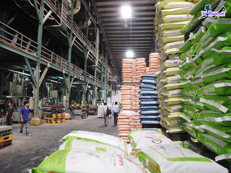 Top 4 bán thức ăn gia súc gia cầm Long Xuyên An Giang chuyên nghiệp và tận tâm