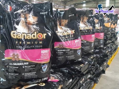 Top 4 bán thức ăn gia súc gia cầm Mỹ Tho Tiền Giang đáp ứng nhu cầu ngày càng cao (2)