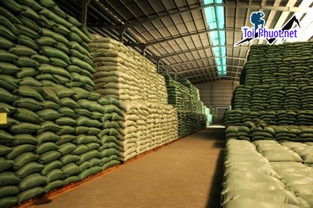 Top 4 bán thức ăn gia súc gia cầm Pleiku Gia Lai giải pháp dinh dưỡng tối ưu  (2)