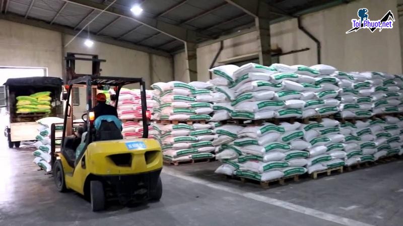 Top 4 bán thức ăn gia súc gia cầm Pleiku Gia Lai giải pháp dinh dưỡng tối ưu