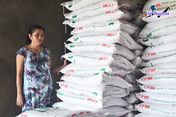 Top 4 bán thức ăn gia súc gia cầm Top bán thức ăn gia súc gia cầm phổ biến (1)