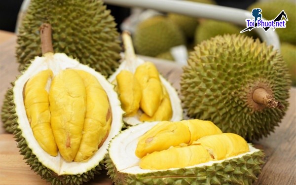 Top 4 cung cấp bán sầu riêng giá rẻ tốt chất lượng Đồng Hới Quảng Bình nhiều loại ngon nhất