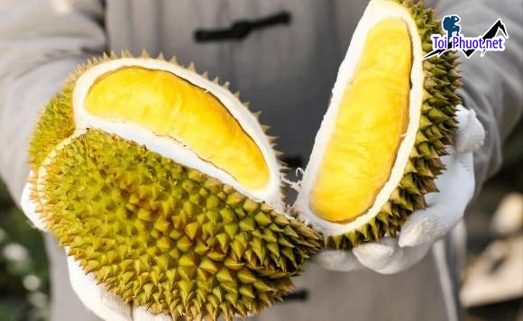 Top 4 cung cấp bán sầu riêng giá rẻ tốt chất lượng Đồng Xoài Bình Phước uy tín nhất