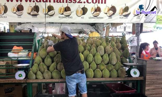 Top 4 cung cấp bán sầu riêng giá rẻ tốt chất lượng Kon Tum cực ngon (2)