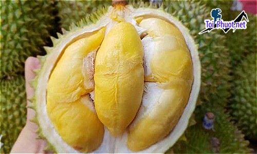 Top 4 cung cấp bán sầu riêng giá rẻ tốt chất lượng Kon Tum cực ngon