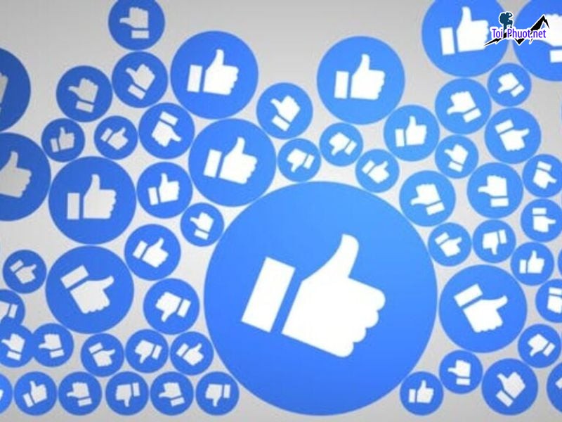 Top 4 dịch vụ tăng like giá rẻ chất Lào Cai cực cần thiết (2)