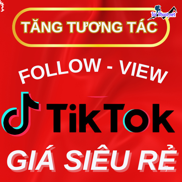 Top 4 dịch vụ tăng view giá rẻ chất Hải Phòng nổi tiếng hàng đầu (1)