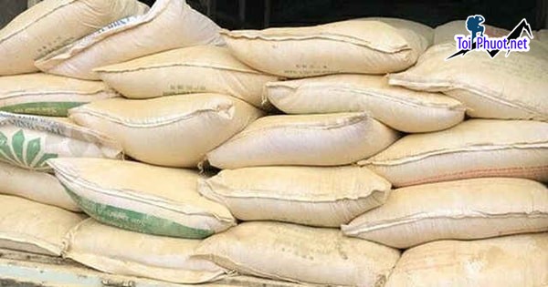 Top 5 bán thức ăn gia súc gia cầm Bến Tre nhiều sự lựa chọn tốt (1)