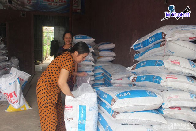Top 5 bán thức ăn gia súc gia cầm Hà Giang dịch vụ chuyên nghiệp, tận tình (1)