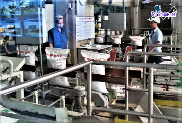 Top 5 bán thức ăn gia súc gia cầm Vị Thanh Hậu Giang hợp với túi tiền người chăn nuôi (2)