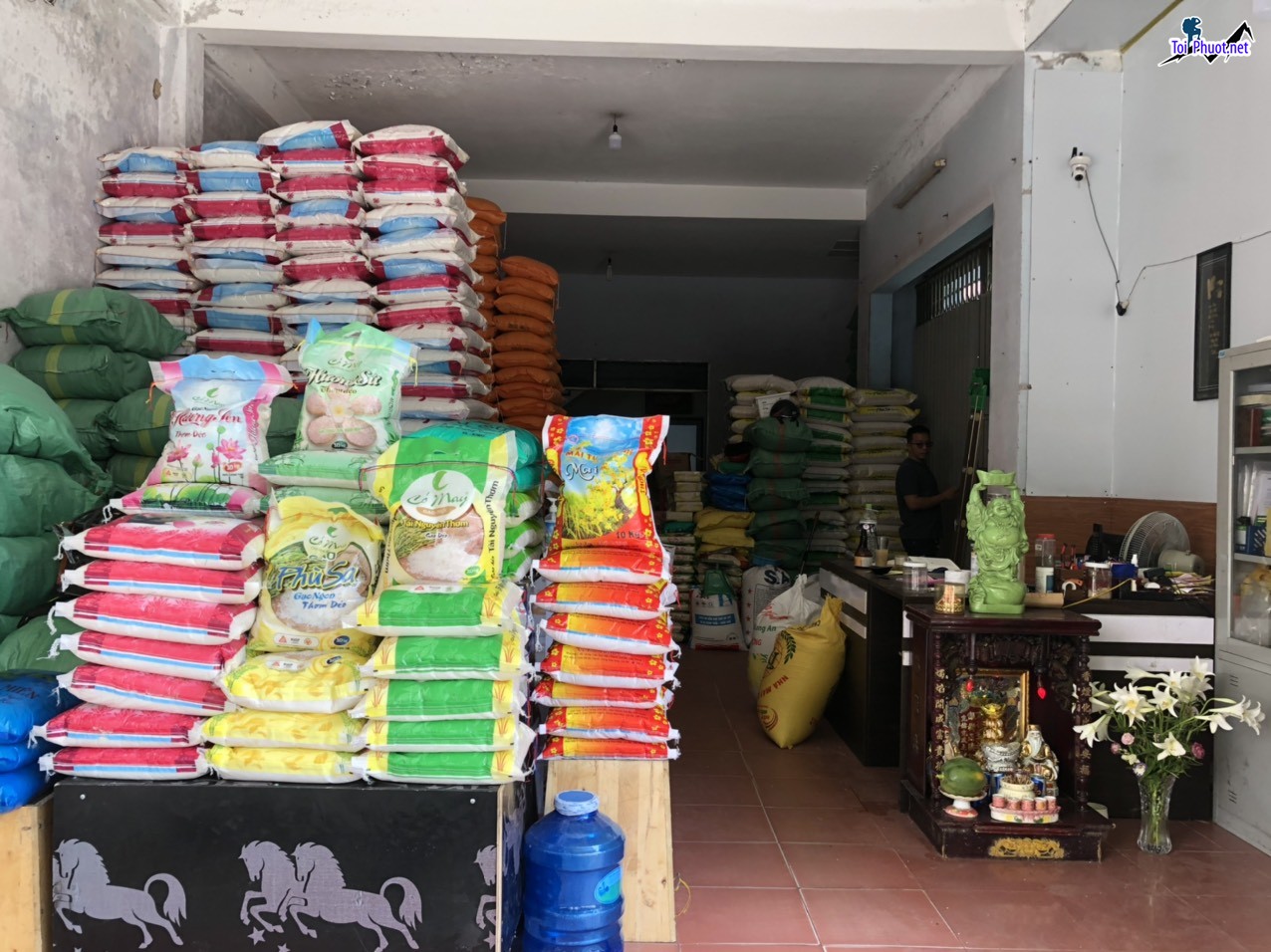 Top 5 cửa hàng gạo gần đây chất lượng Vinh Nghệ An tốt nhất hiện nay (1)
