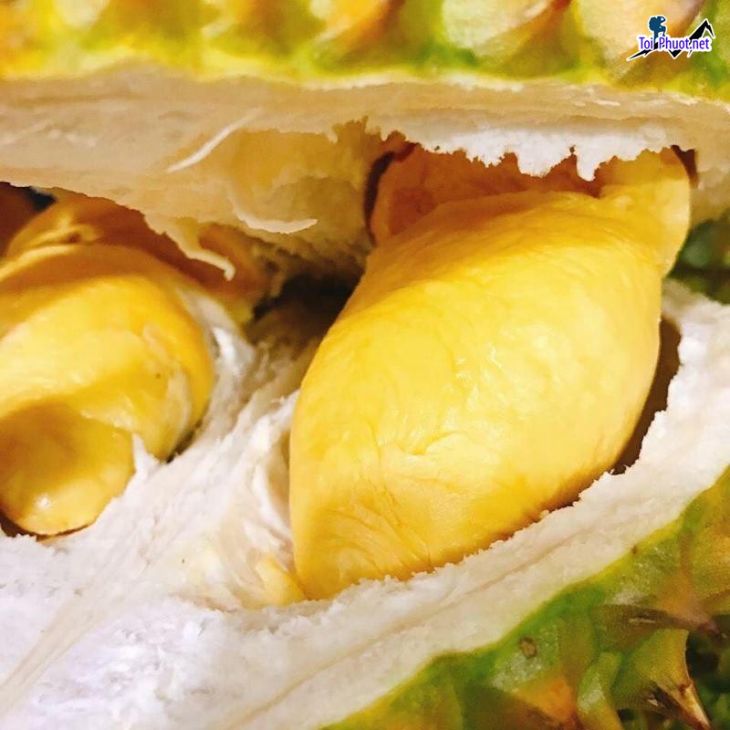 Top 5 cung cấp bán sầu riêng giá rẻ tốt chất lượng Biên Hòa Đồng Nai được yêu thích (3)