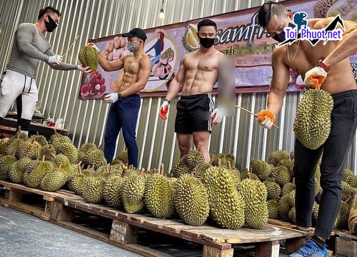 Top 5 cung cấp bán sầu riêng giá rẻ tốt chất lượng Đà Lạt Lâm Đồng bảo quản kĩ lưỡng