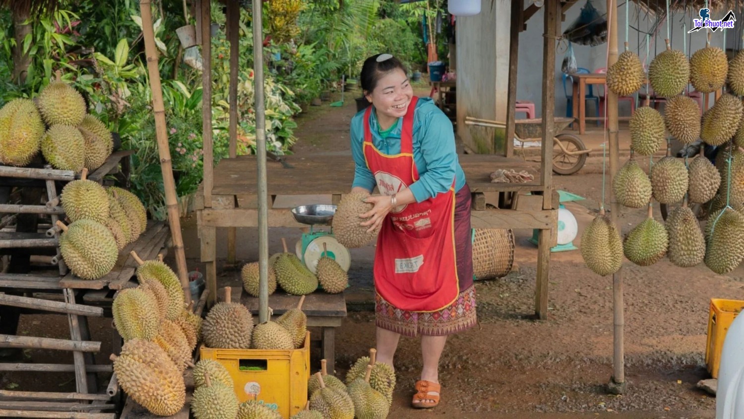 Top 5 cung cấp bán sầu riêng giá rẻ tốt chất lượng Lai Châu phong phú và đa dạng (1)
