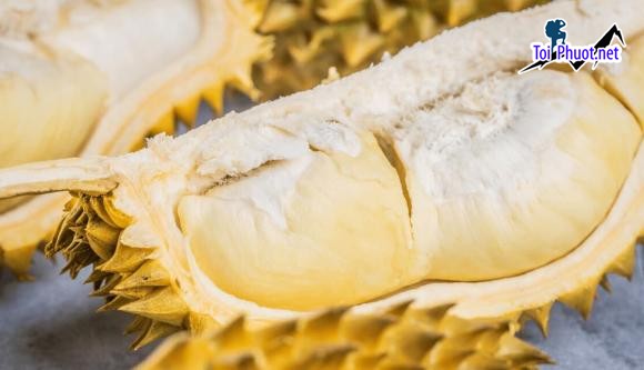 Top 5 cung cấp bán sầu riêng giá rẻ tốt chất lượng Phan Thiết Bình Thuận không bị hỏng (1)