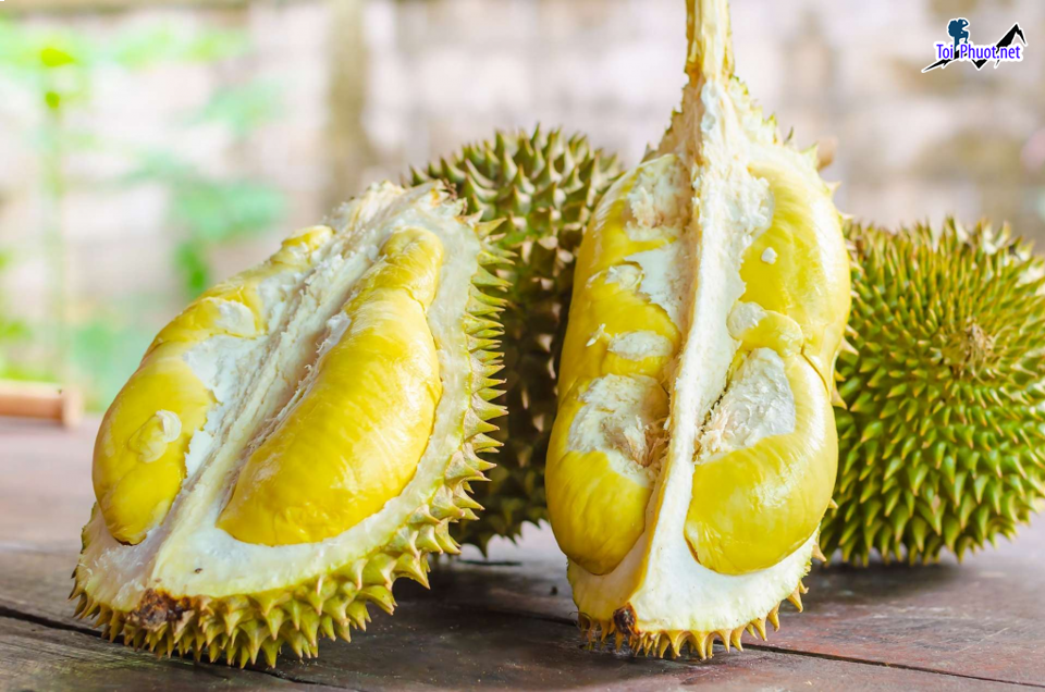 Top 5 cung cấp bán sầu riêng giá rẻ tốt chất lượng Tuyên Quang thoải mái thưởng thức (1)