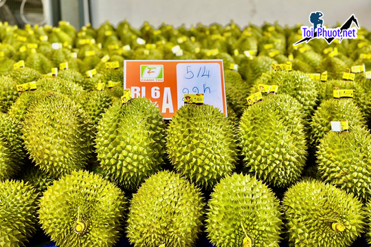 Top 5 cung cấp bán sầu riêng giá rẻ tốt chất lượng Tuyên Quang thoải mái thưởng thức (2)