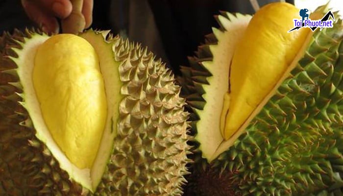 Top 5 cung cấp bán sầu riêng giá rẻ tốt chất lượng Việt Trì Phú Thọ tươi ngon (1)