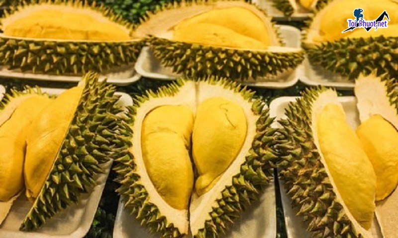 Top 5 cung cấp bán sầu riêng giá rẻ tốt chất lượng Việt Trì Phú Thọ tươi ngon (3)